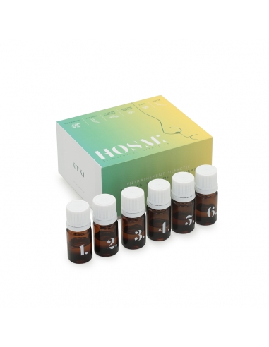 Hosmi, olfactory rehabilitation kit