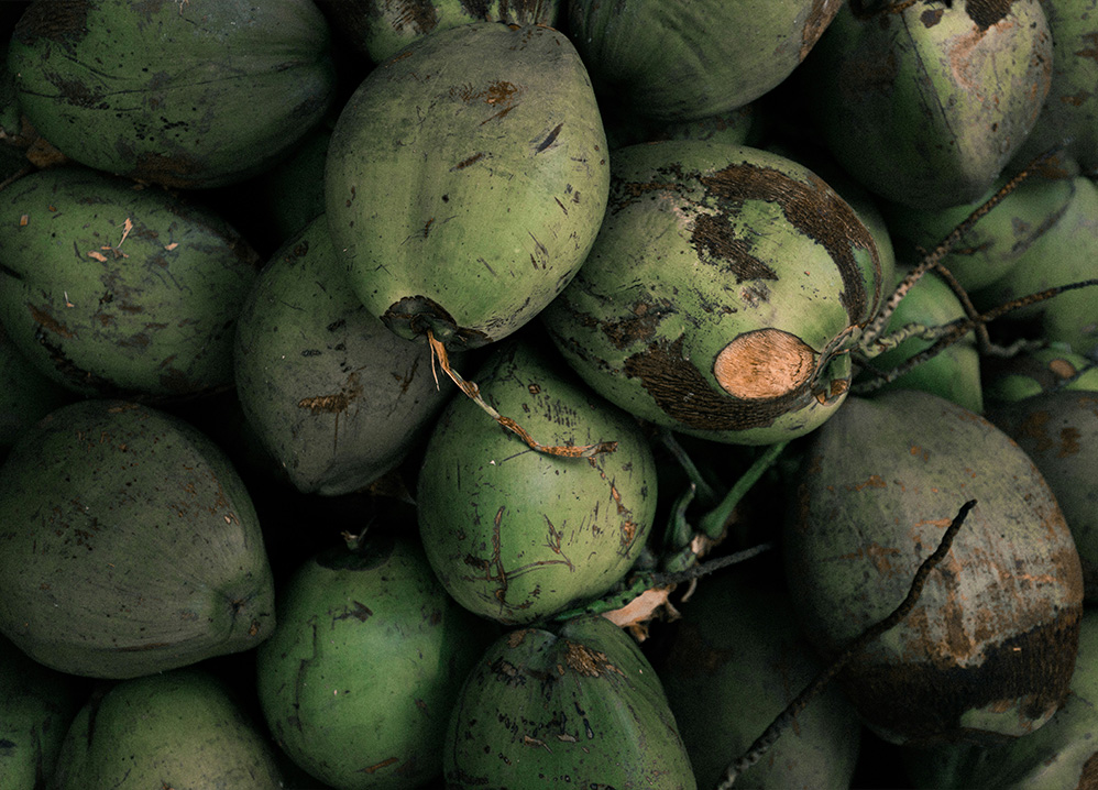 Perfume Coconut