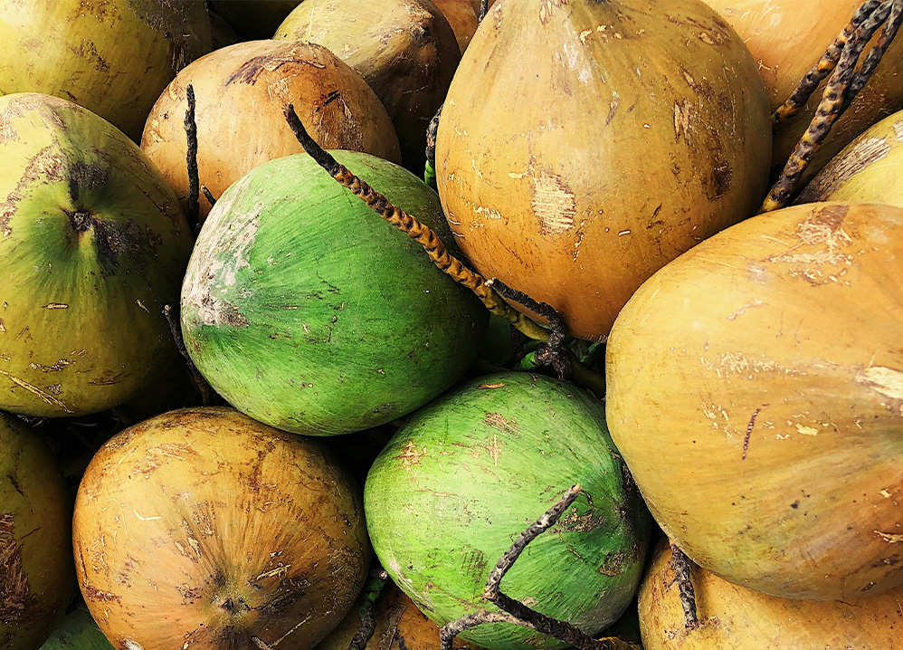 Parfum Noix de Coco