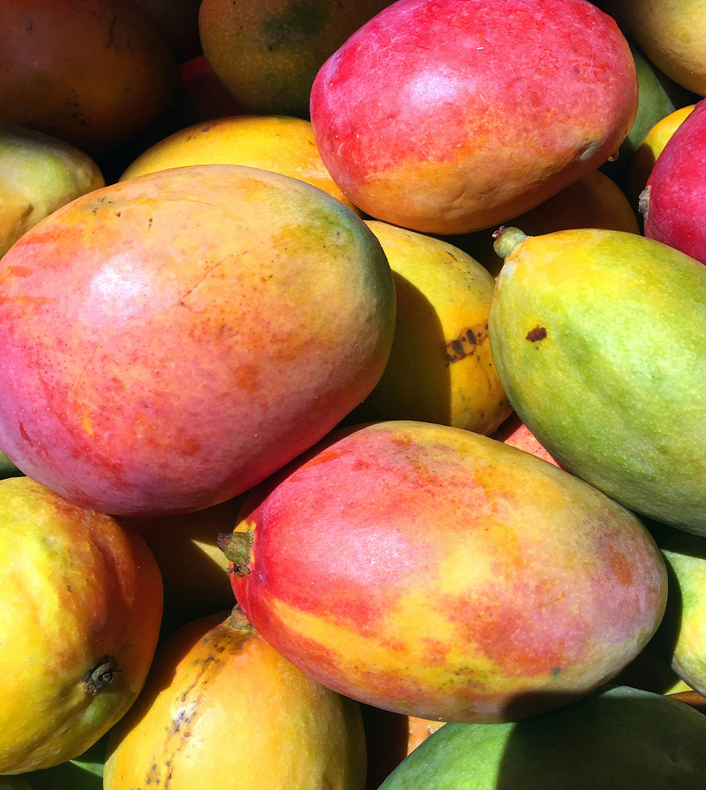 Parfum Mangue