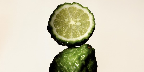 LA BERGAMOTE : UN ZESTE D'AUDACE