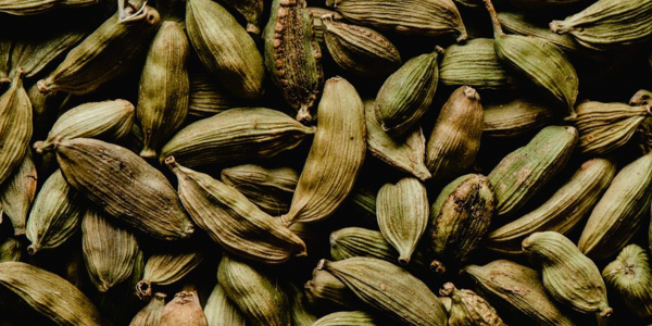 LA CARDAMOME : LE GRAND FRISSON CHAUD-FROID QUI ÉLECTRISE LES PARFUMS 